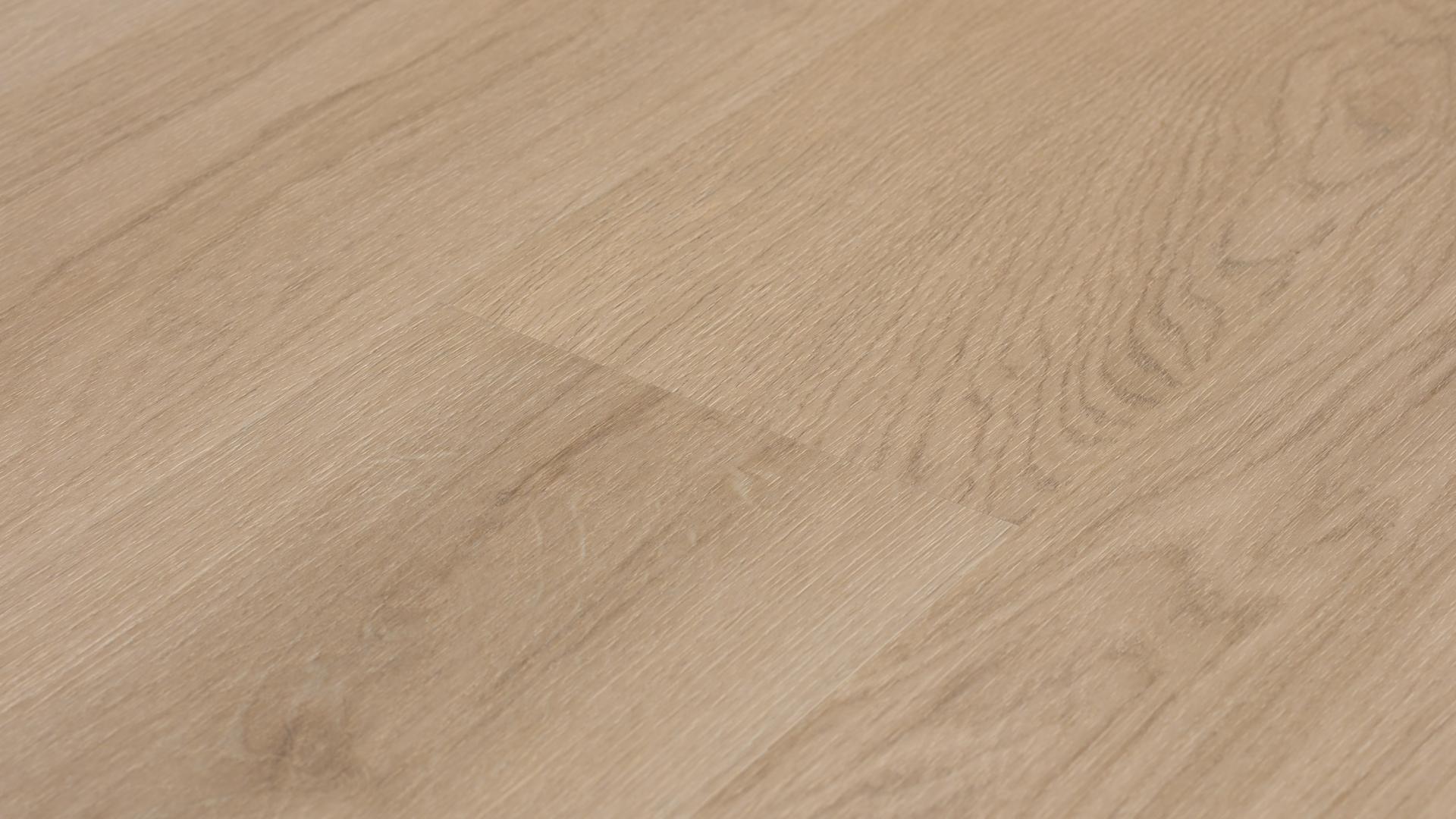 Café Latte 4.5 - Image 8