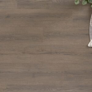 Evoke's Montane_Archer