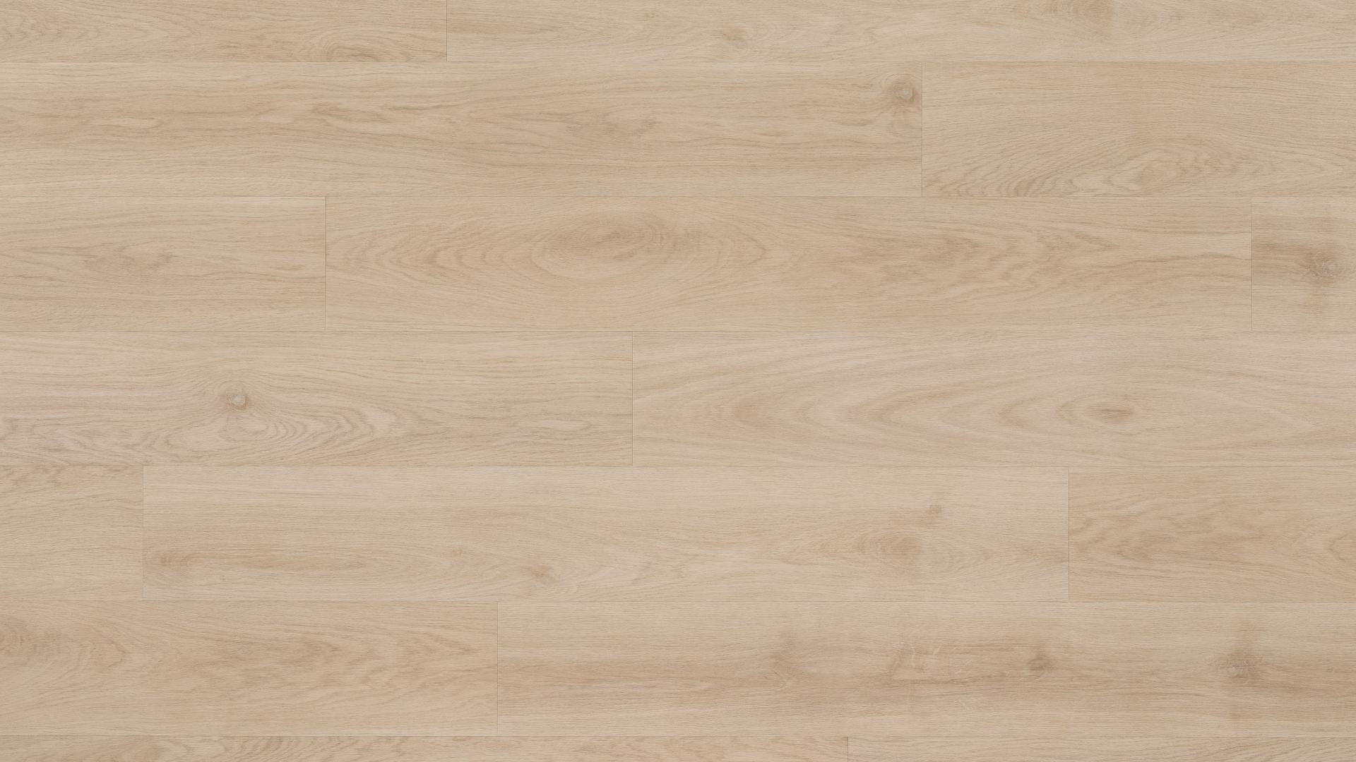 Exhibit Space 2.5 - Image 7