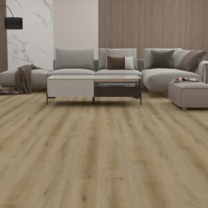 Synergy Plank Collection