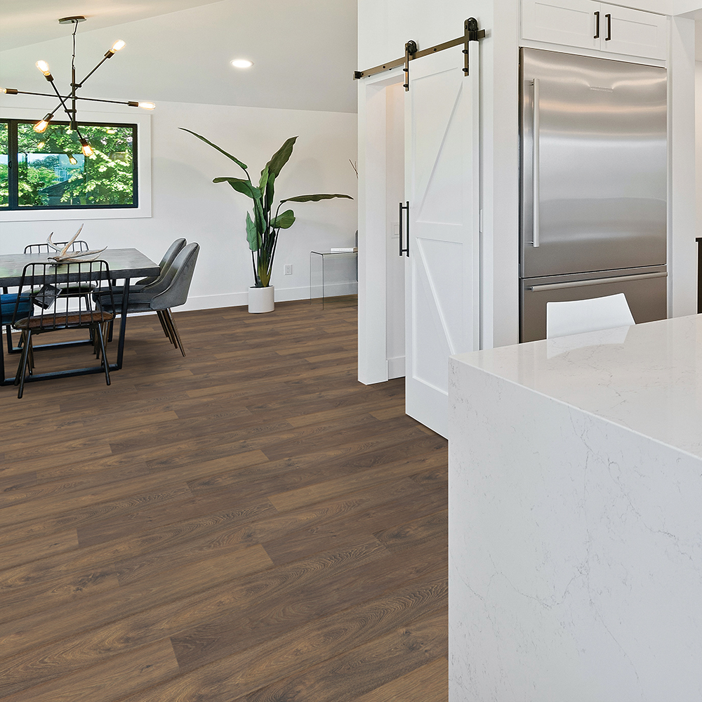 Palladium #8020 - Image 5